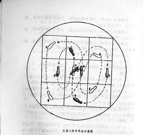 天罡七星步|揭秘天罡七星步和天罡八卦步